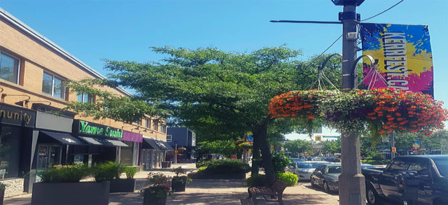 About Kerr Village BIA